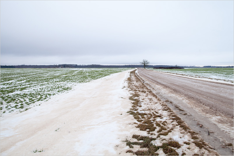 20181228-05