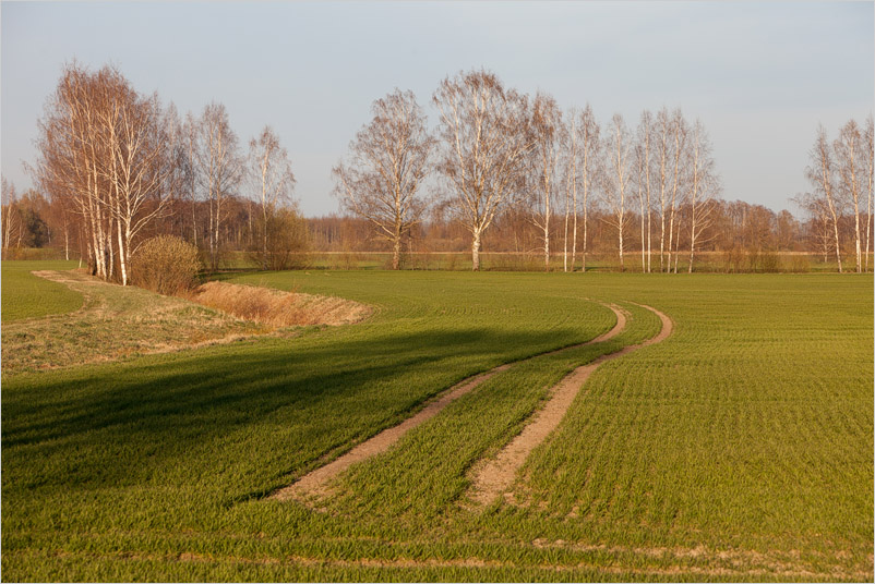20190419-02