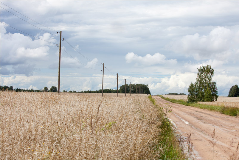 20200725-03
