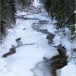 20210131-vu-15
