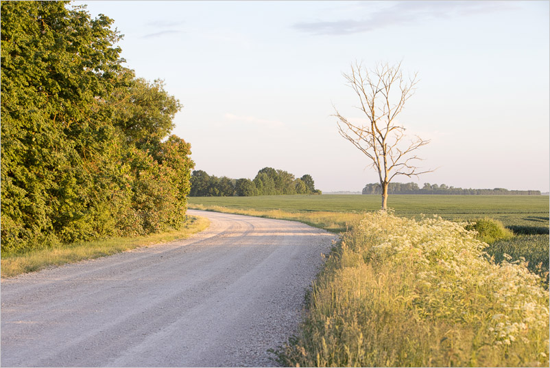 20210611-17