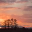 20221118-12