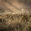 20230707-ct-50