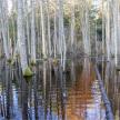20240303-27