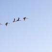 20241018-13