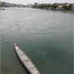 IMG_3528