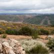 20120418-IMG_4024