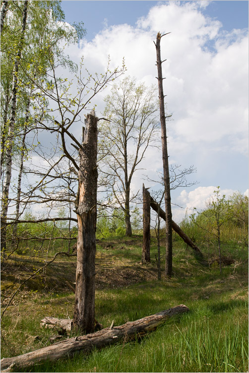 20080505-01