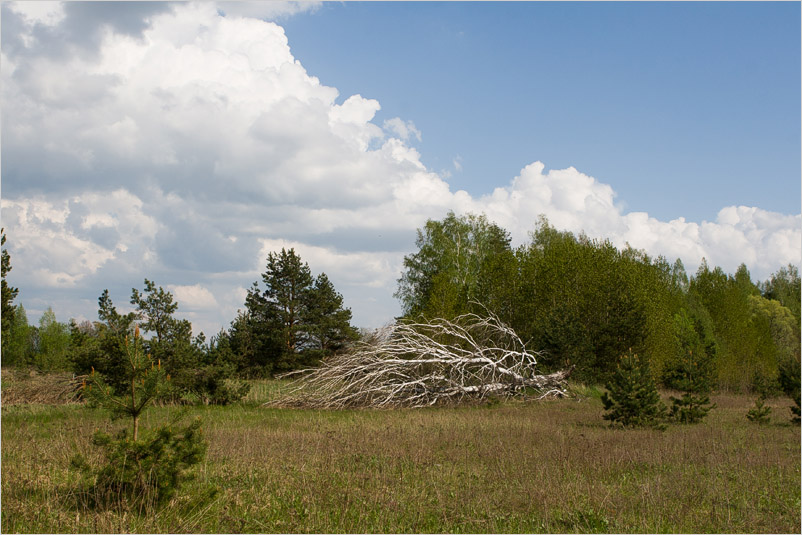 20080505-03