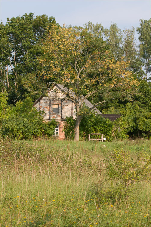 20080908-01