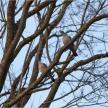 20170401-05